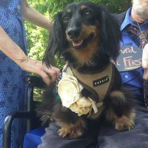 Meet your Posher, Tammy